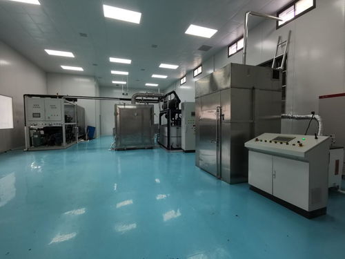 滬上農(nóng)產(chǎn)品干燥加工技術(shù)成果轉(zhuǎn)化獲重大突破，示范應(yīng)用與裝備線推廣成效顯著