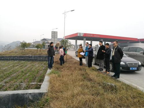 溆懷高速公路環(huán)境保護(hù)工程通過省環(huán)保廳評估中心專項檢查